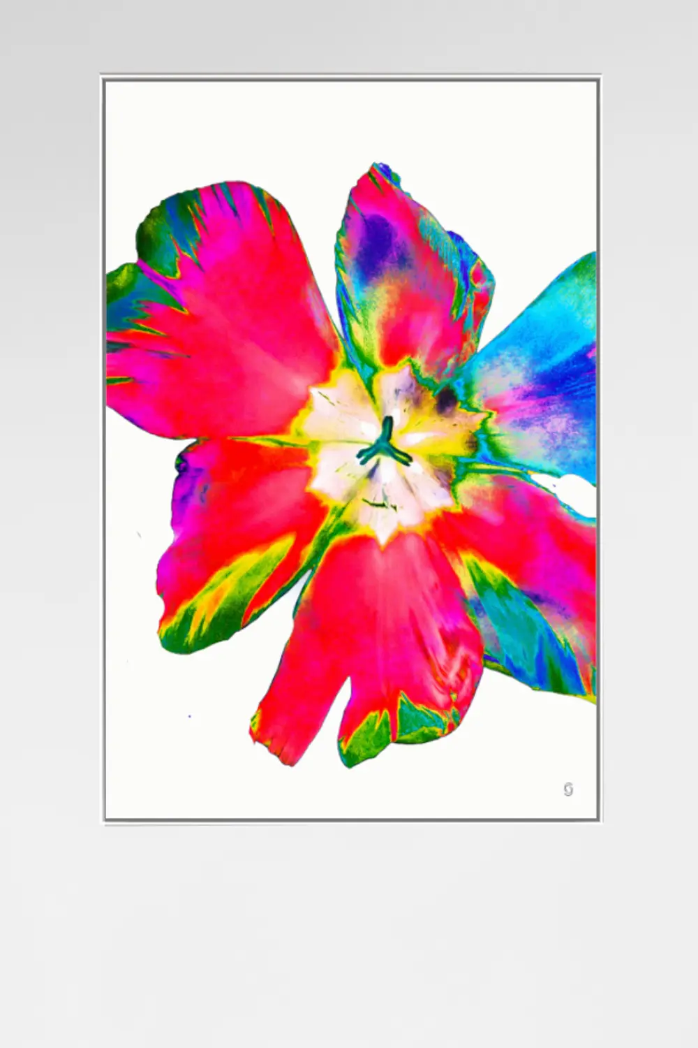 Farbrausch from the „Flowers“ series