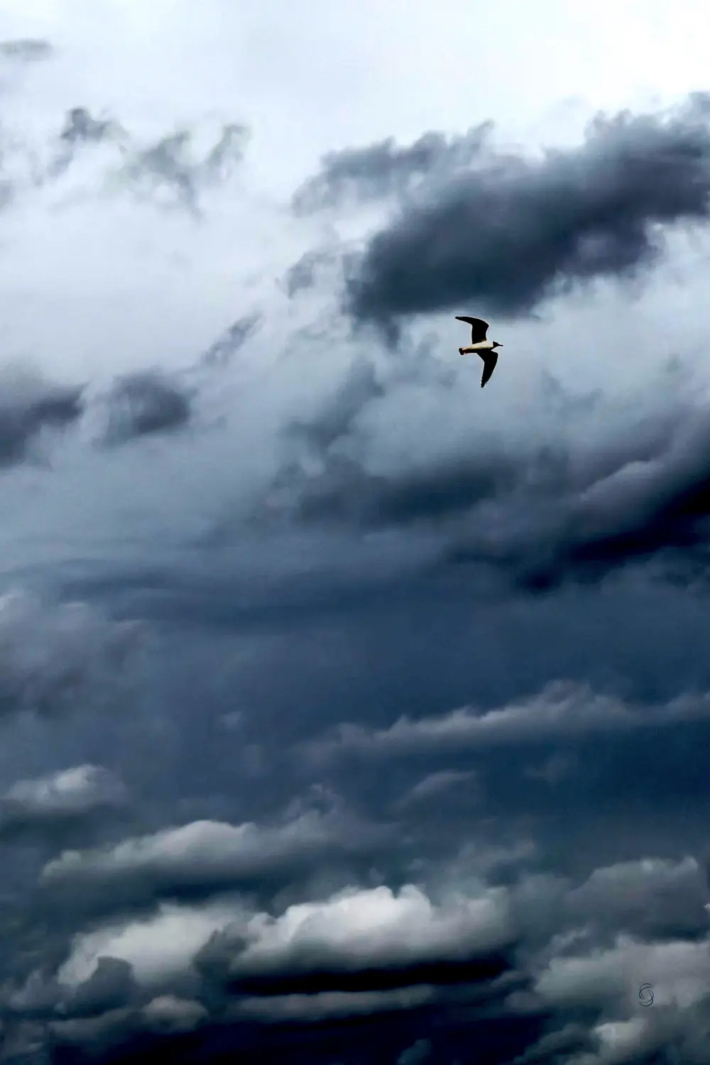 Thunderstorm Blue