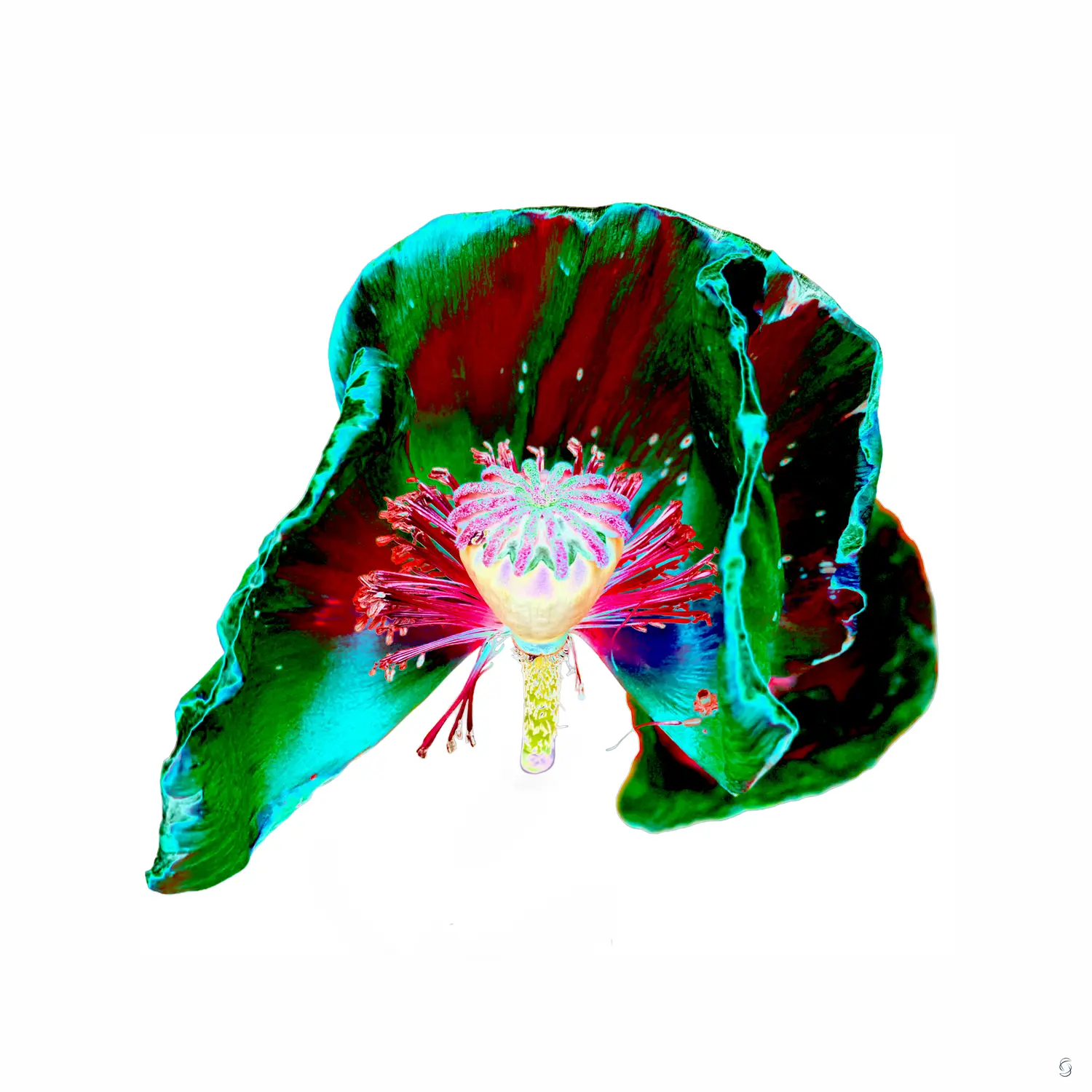 Feeenzauber