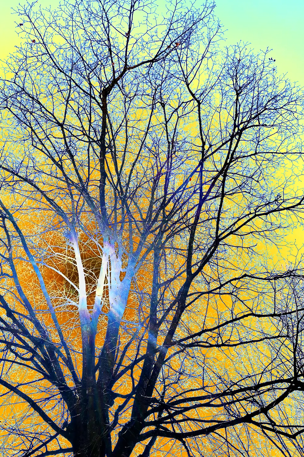 Trees are burning